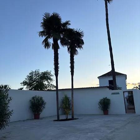 Bambu Blanco , Mijas-malaga * 푸엔히롤라
