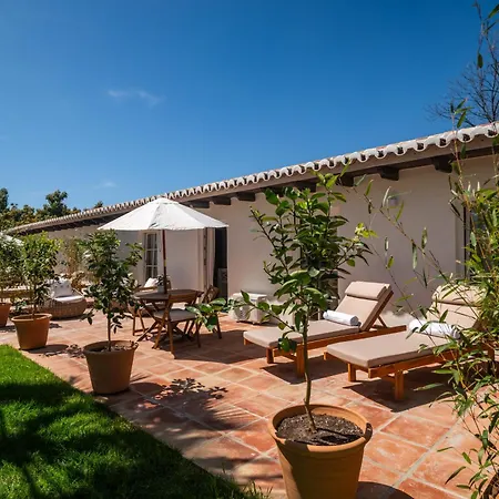 Bambu Blanco , Mijas-malaga *