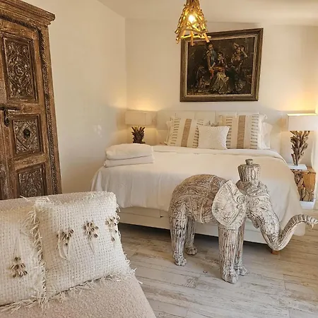 Bambu Blanco , Mijas-malaga