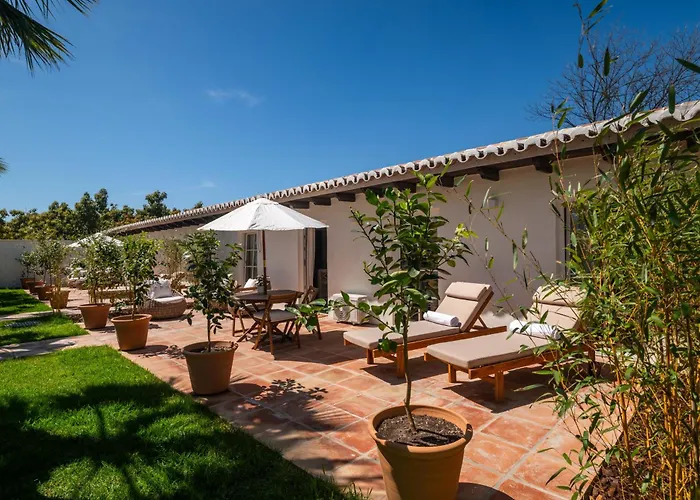 Bambu Blanco , Mijas-malaga *